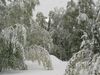 early_winter!.JPG